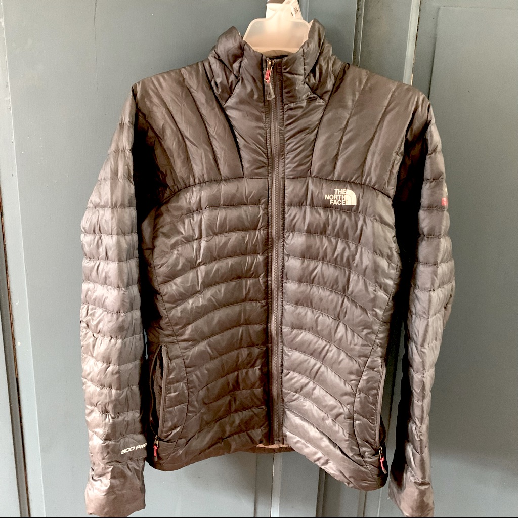 The North Fave Summit Series 800 Pro Grey Down Jacket